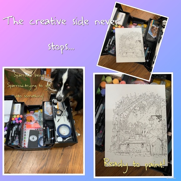 🌵Welcome to the Greenhouse…🌵 - Picture 10 of 12